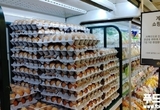 한국산 달걀.가금류 싱가포르 수출 재개