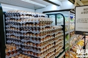 한국산 달걀.가금류 싱가포르 수출 재개