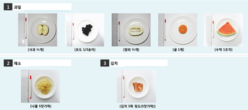 과일, 채소, 김치의 1인 1회 제공량