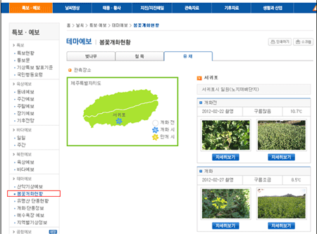 기상청 홈페이지 봄꽃 개화현황 정보
