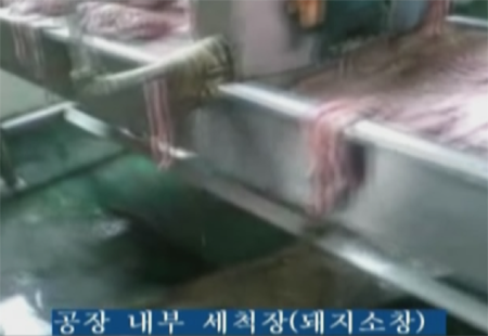 호주산 돼지소창에 중국산 김치(속)와 당면, 마늘을 채워 만든 순대와 중국산 김치 113억원 상당을 전국의 유치원과 초·중·고등학교 400여 곳에 납품한 혐의로 5일 구속된 식품업체 대표 장모(57·여)씨가 운영하던 경기 안성시 순대공장 내부 모습. 서울지방경찰청 광역수사대 제공.