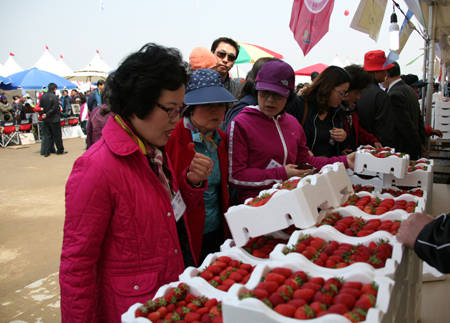 지난해 13회 논산딸기축제 때 모습 장면. 논산시 제공