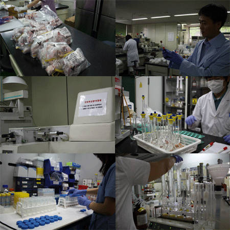 농림수산검역검사본부 서울지역본부 내 일부 실험실 및 검역실