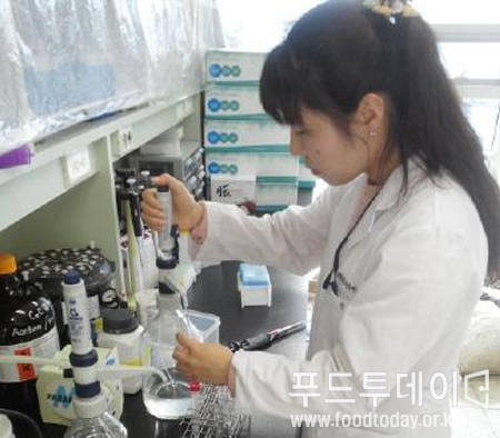하동녹차연구소 연구원이 잔류농약 검사 중이다