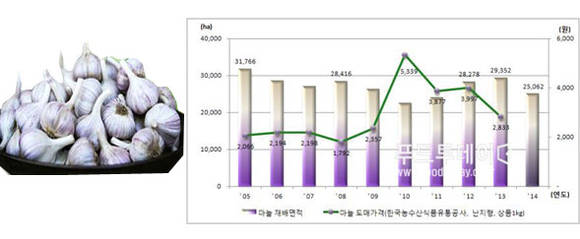 마늘 재배면적과 마늘 도매가격