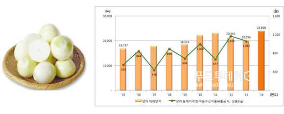 양파 재배면적과 양파 도매가격