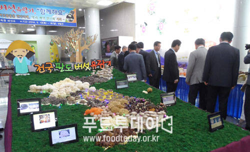 우리 버섯 특별전시회를 관람하고 있다.