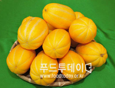 여주 금싸라기 참외