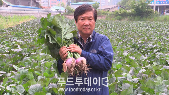 김경호 (인천 강화섬 김치 대표)