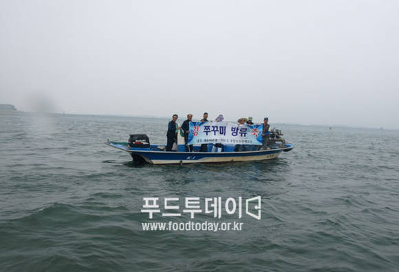 쭈꾸미 방류 현장