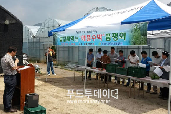 애플수박 품평회가 열리고 있다