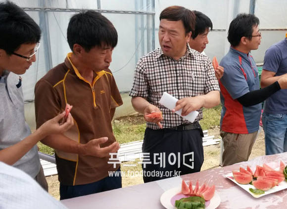 품평회에서 애플수박을 시식하고 있다