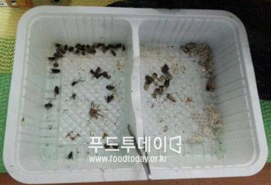 블랙컨슈머 일당이 수집 보관중인 벌레들