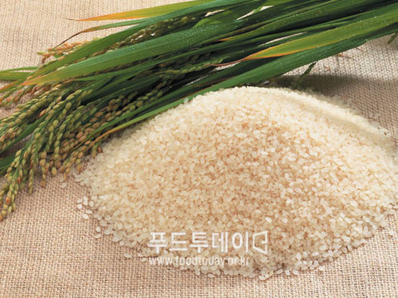철원오대쌀