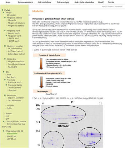 국내 밀 품종 글루테닌 데이터베이스(DB) 소개 화면