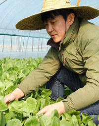 윤영학 로가닉 대표