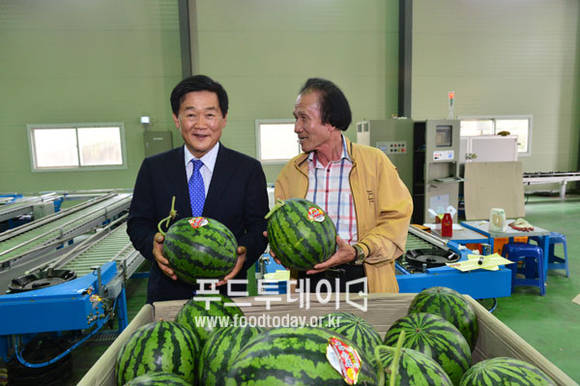 고창 수박 선별 현장을 방문한 박우정 고창군수