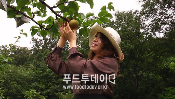 가수 미소