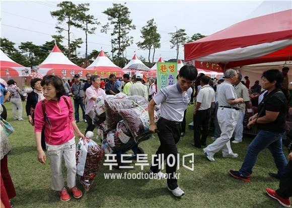 괴산 고추축제에서 고추 사가는 관광객