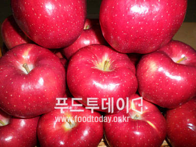 사과