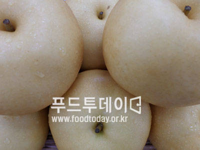 배
