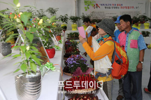 고추품평회에서 수상한 고추를 관람하고 있다