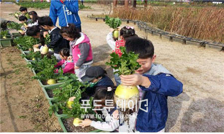 무수확 체험