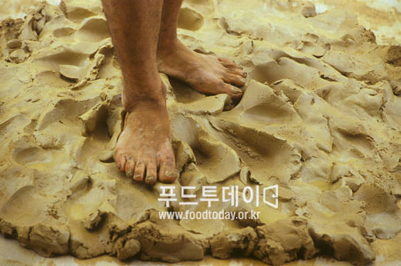 흙밟기 체험