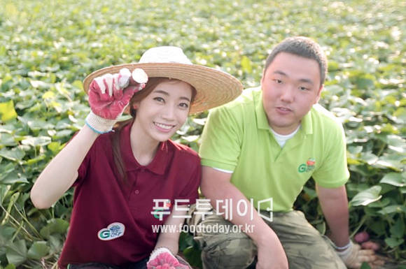 ‘G마켓이 간다’ 캠페인 - 해남 고구마