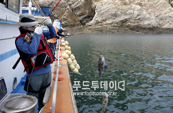 바다 낚시객 모습