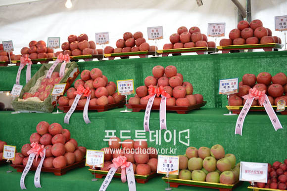 사과축제 품평회