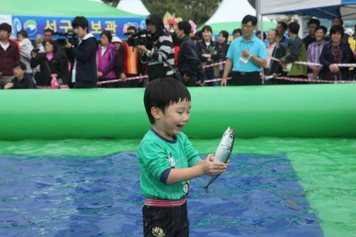 지난 2013년 고등어축제 당시 어린아이가 맨손 고등어잡기 체험을 하고있다