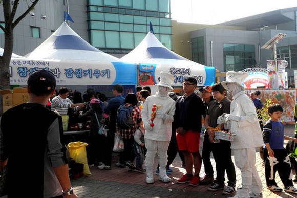 2012년 청도반시축제