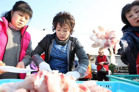 지난 2013년 설숭어요리대회