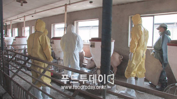 구제역 역학조사