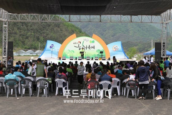 양구 곰취축제