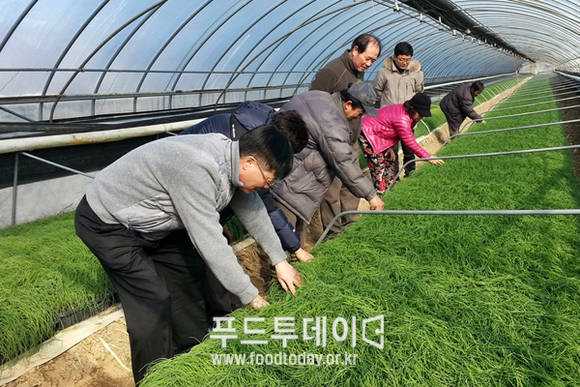 달래 농장