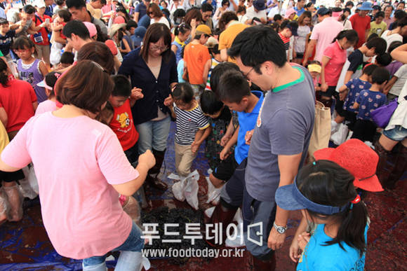 영동포도축제
