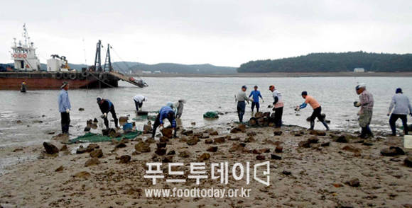 어장 환경개선 사업