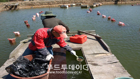 수산 작업