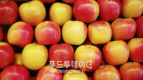 사과