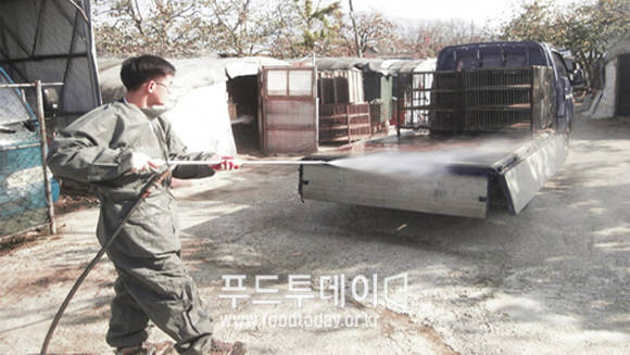 구제역 AI 방역