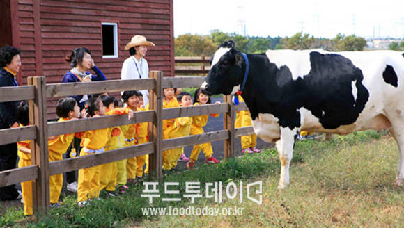 목장체험