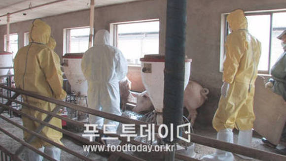 구제역 역학조사