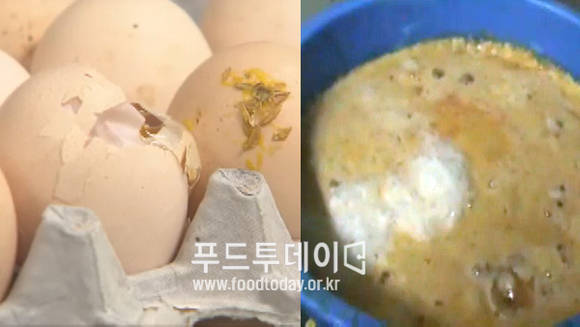 폐기물 계란