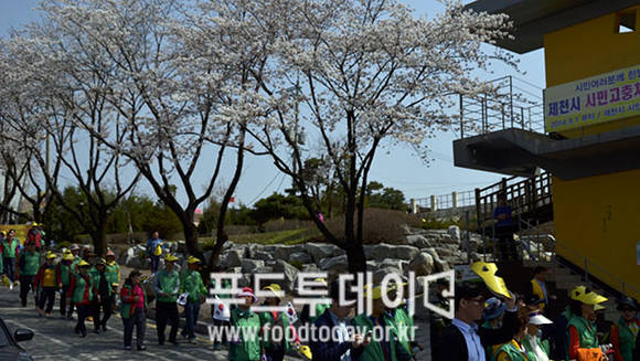 충북 제천시, 시민시장들과 벚꽃길 걷기대회