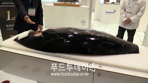 동원산업 참다랑어