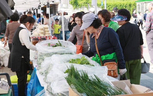 잠수교 직거래 장터 (서울시청)