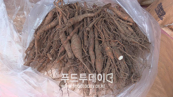 백수오