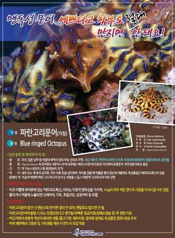 국립수산과학원 아열대수산연구센터 제공